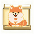 POMERANIAN DOG ITALIAN CHARM
