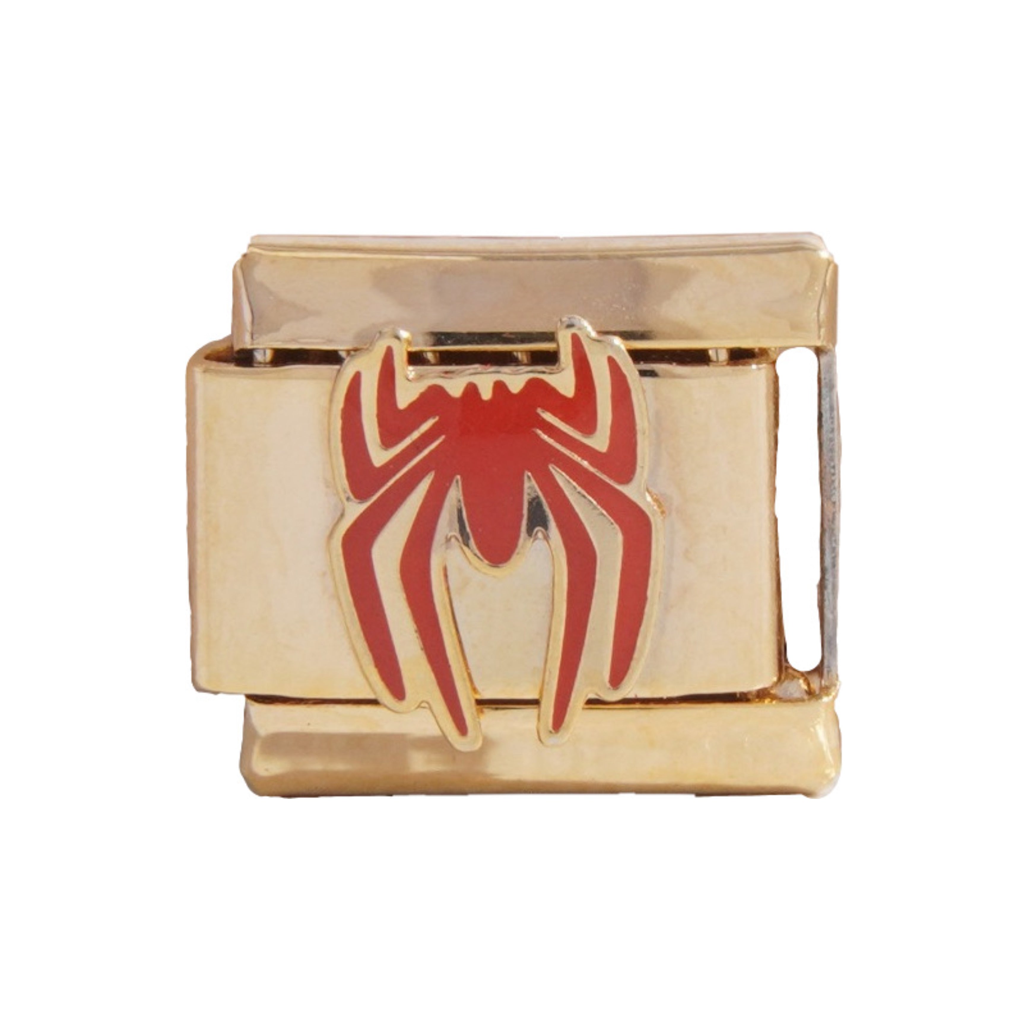SPIDER VERSE ITALIAN CHARM