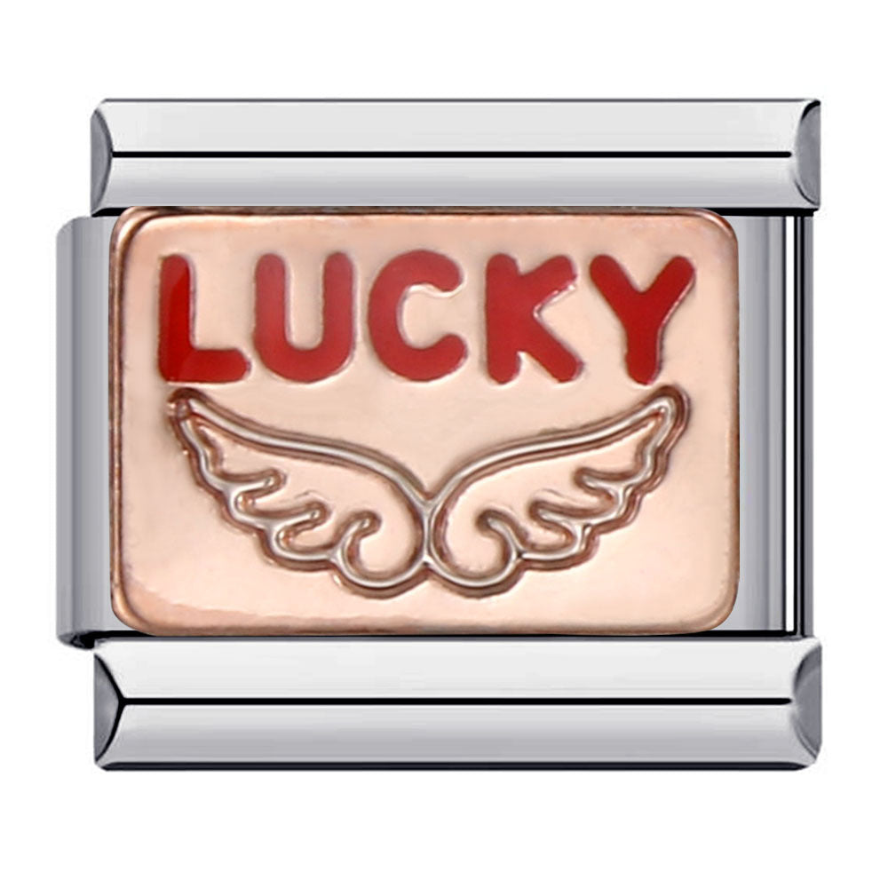 Lucky Italian Charm Italian charm bracelet link in stainless steel