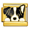 BORDER COLLIE DOG ITALIAN CHARM