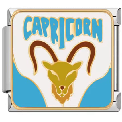 ZODIAC ITALIAN CHARMS