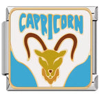 ZODIAC ITALIAN CHARMS