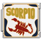 ZODIAC ITALIAN CHARMS
