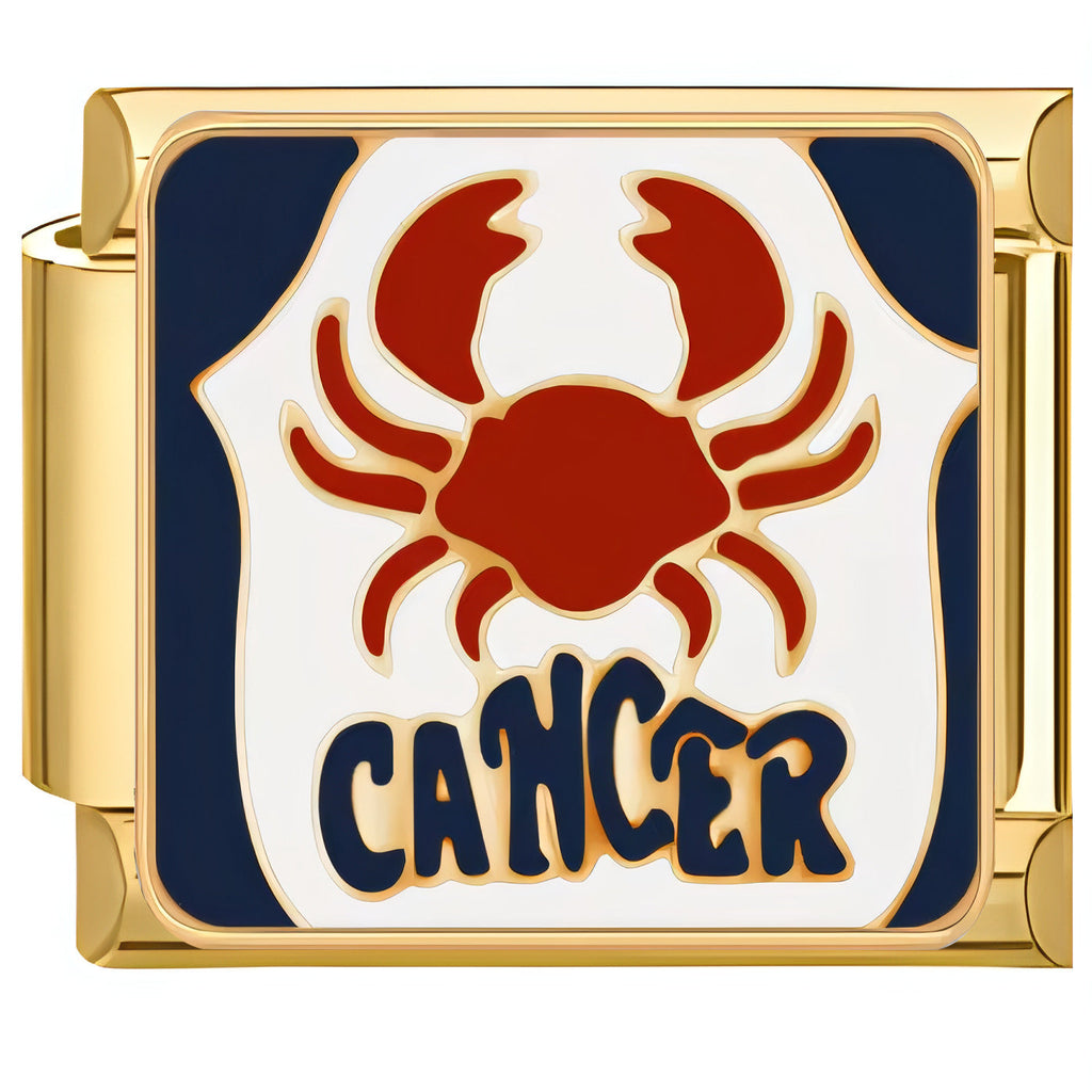 ZODIAC ITALIAN CHARMS