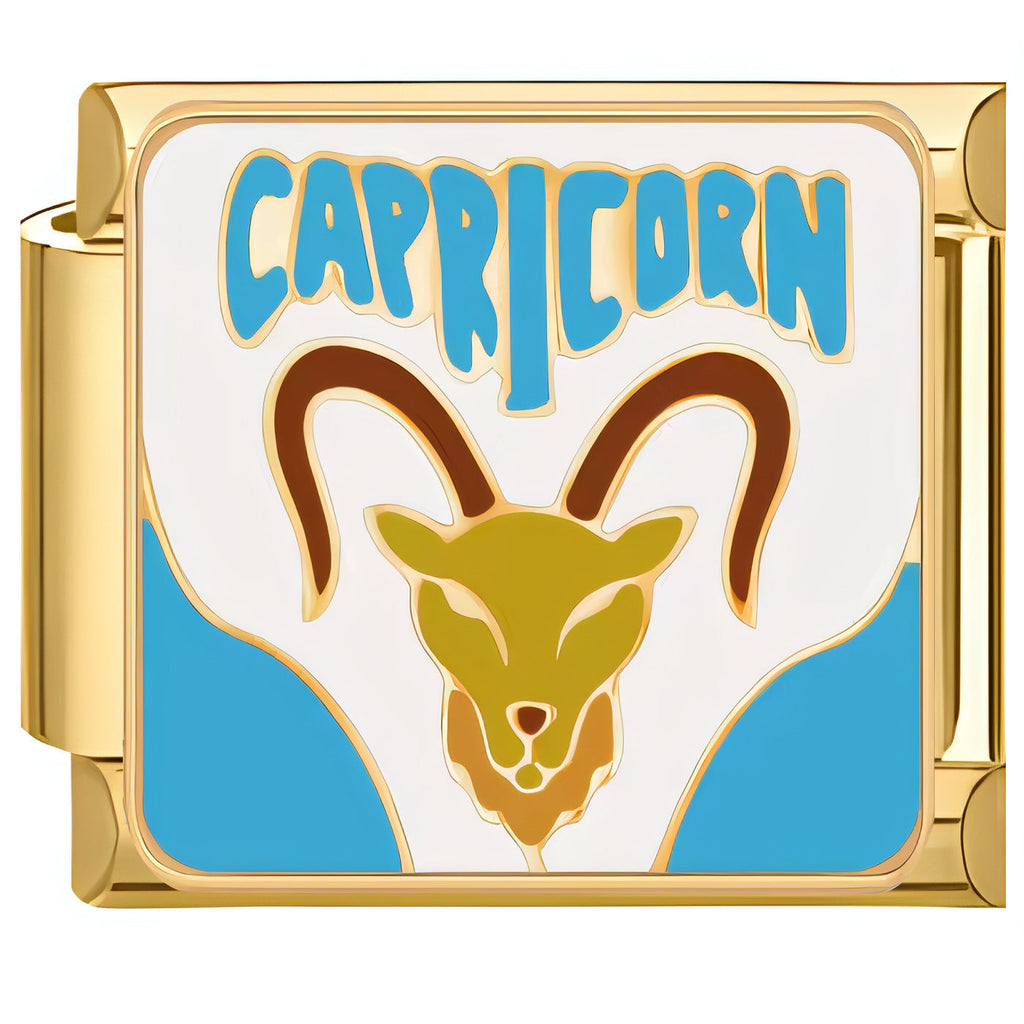ZODIAC ITALIAN CHARMS