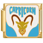 ZODIAC ITALIAN CHARMS