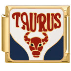 ZODIAC ITALIAN CHARMS