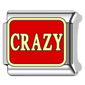 Crazy Italian Charm Italian charm bracelet link in stainless steel