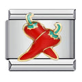 Chili Pepper Italian Charm Italian charm bracelet link in stainless steel